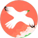 Nihal Ayse Uzun profil fotoğrafı