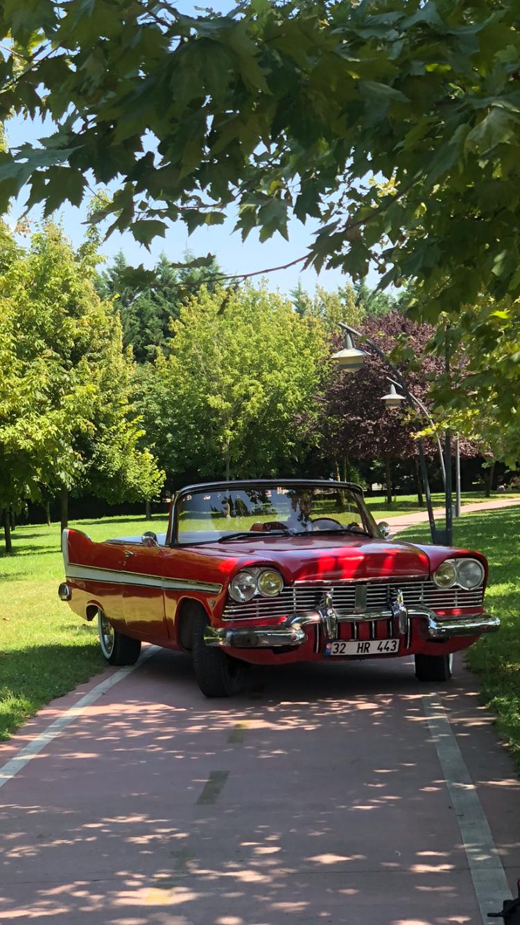 Classic Cars