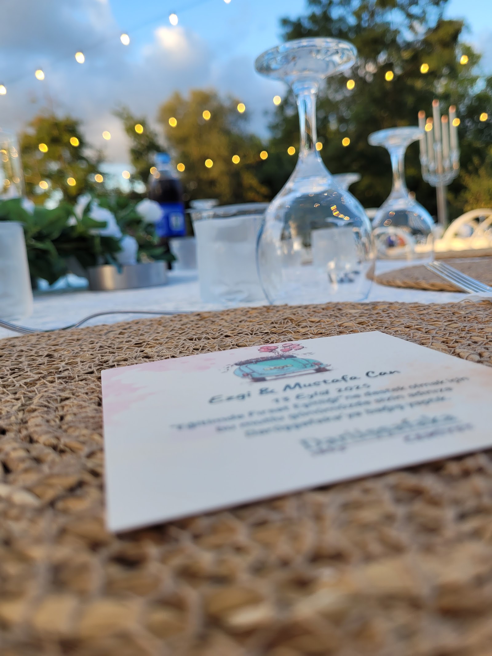 Dream Garden Kır Bahçesi — Kartepe, Kocaeli kır düğünü mekanı görsel 3