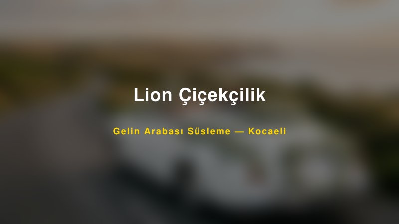 Lion Çiçekçilik Kocaeli Gelin Arabası Süsleme