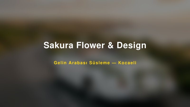 Sakura Flower & Design ile Trend Gelin Arabası Yazıları ve Konseptleri