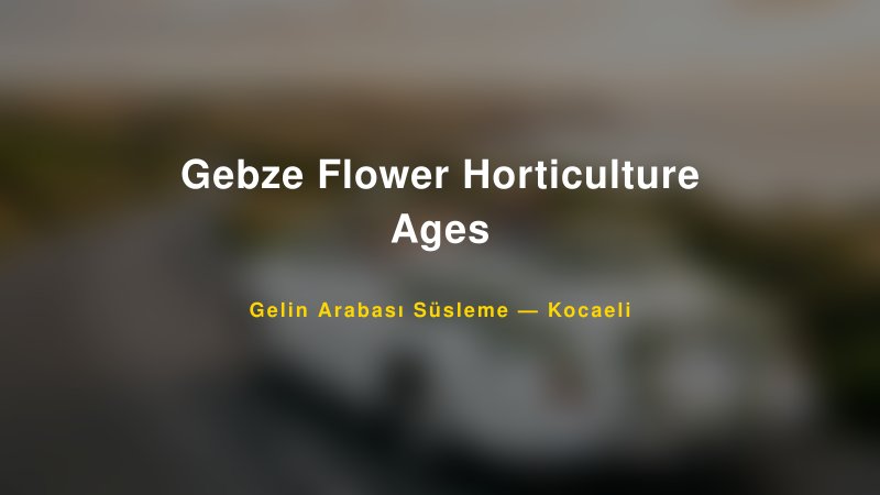 Gebze Flower Horticulture Ages Gelin Arabası Süsleme Fiyatları