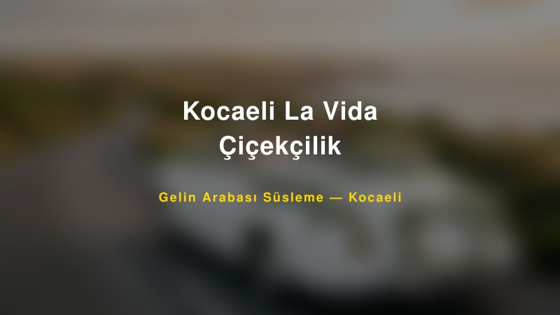 Kocaeli La Vida Çiçekçilik Gelin Arabası Süsleme Fiyatları